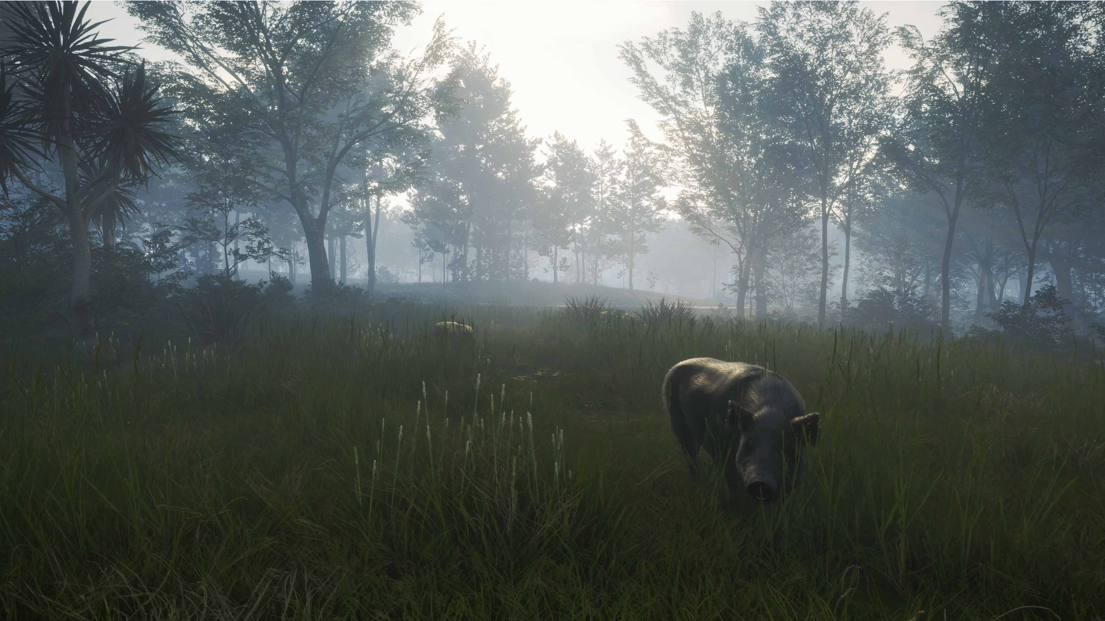 theHunter: Call of the Wild™ - Te Awaroa National Park screenshot 3