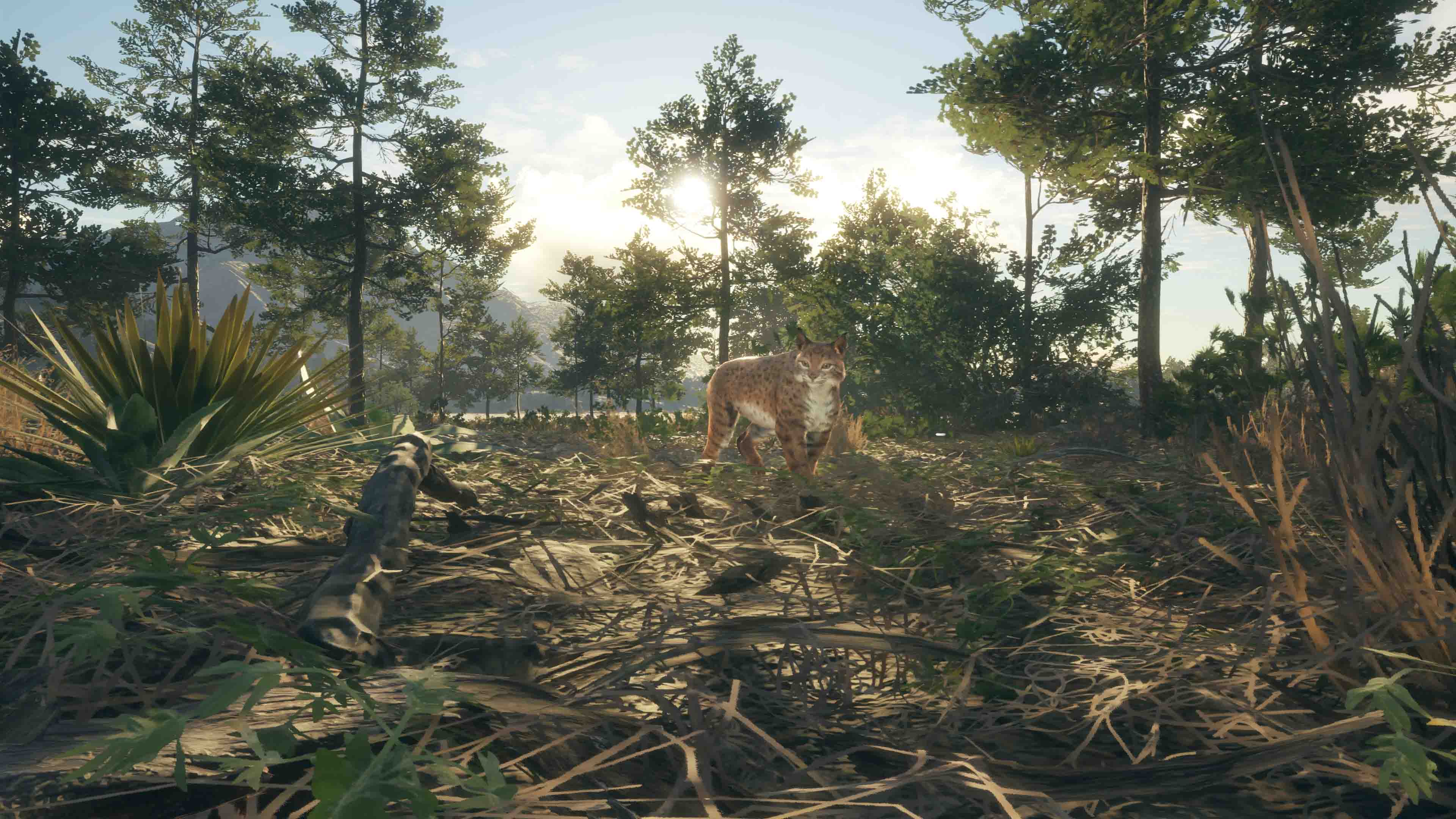 theHunter: Call of the Wild™ - Rancho del Arroyo screenshot 2