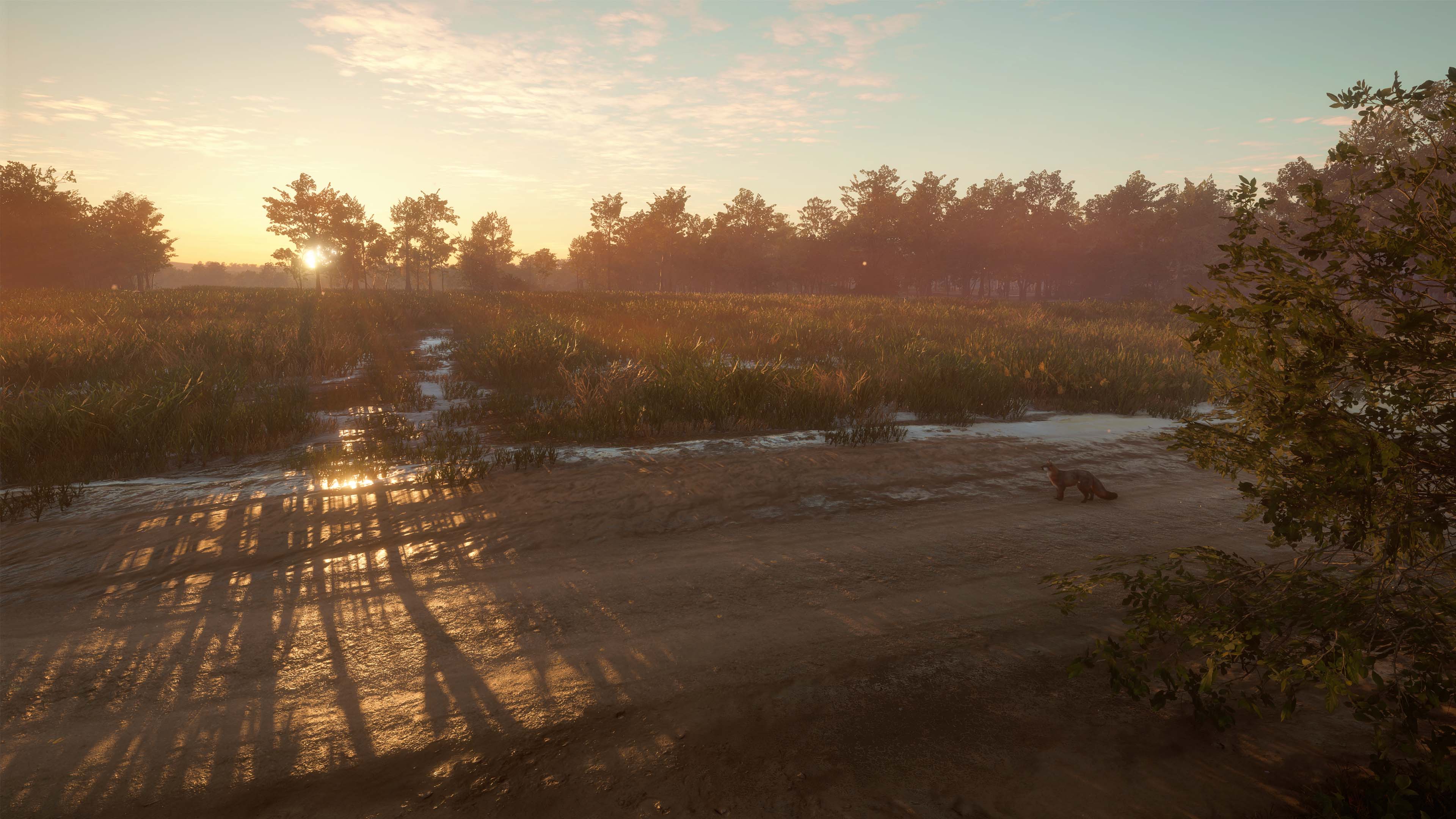 theHunter: Call of the Wild™ - Mississippi Acres Preserve screenshot 4