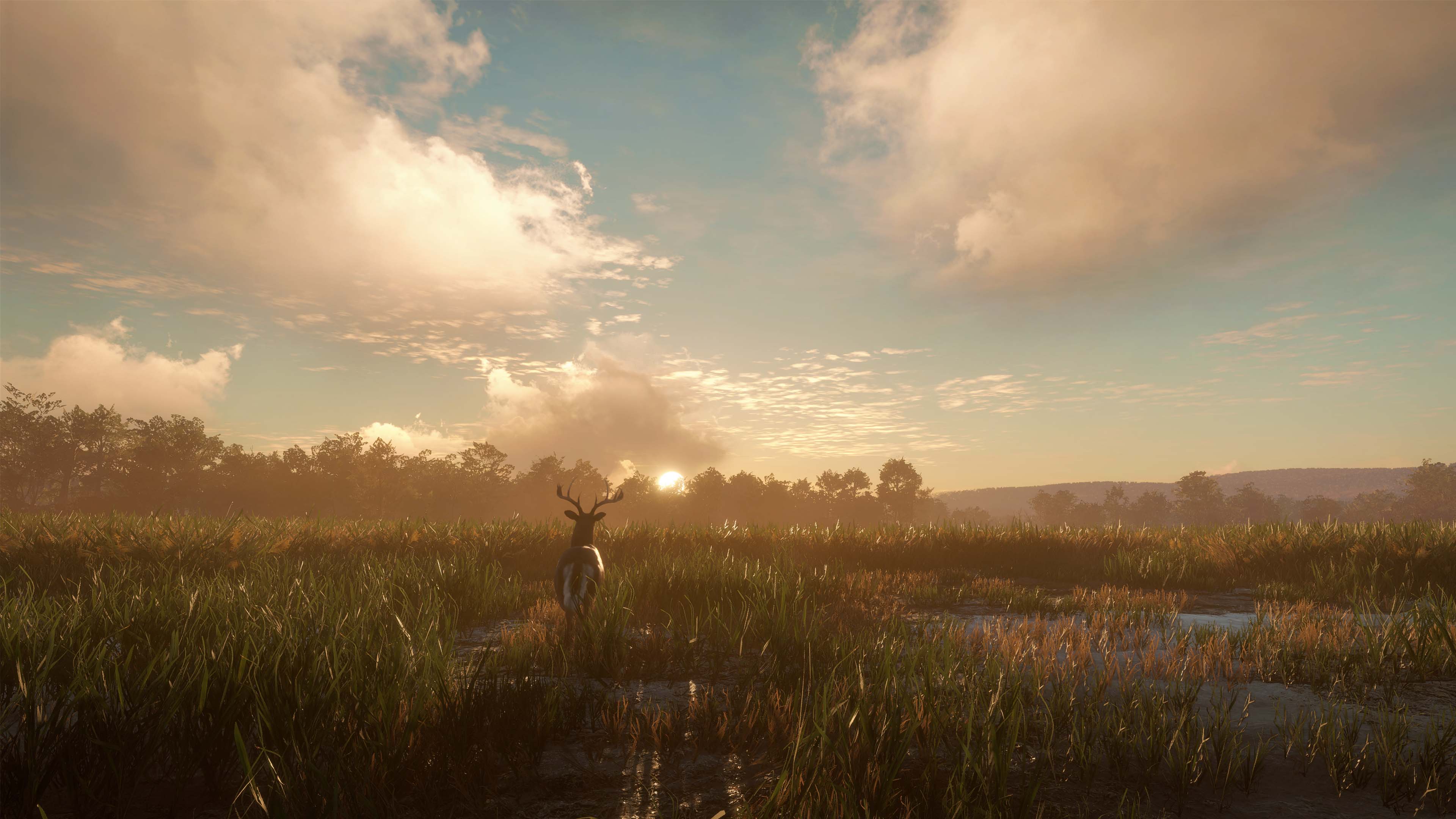 theHunter: Call of the Wild™ - Mississippi Acres Preserve screenshot 3