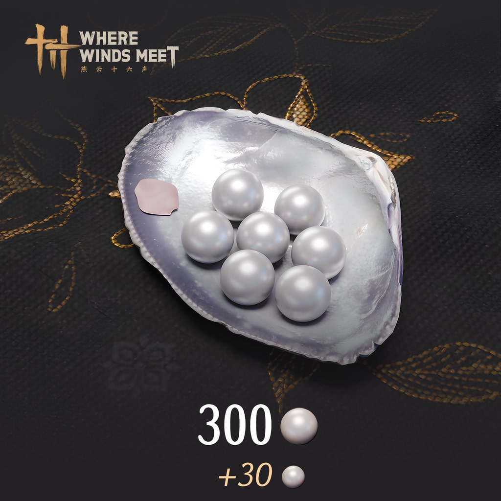 Where Winds Meet - 300 Echo Beads